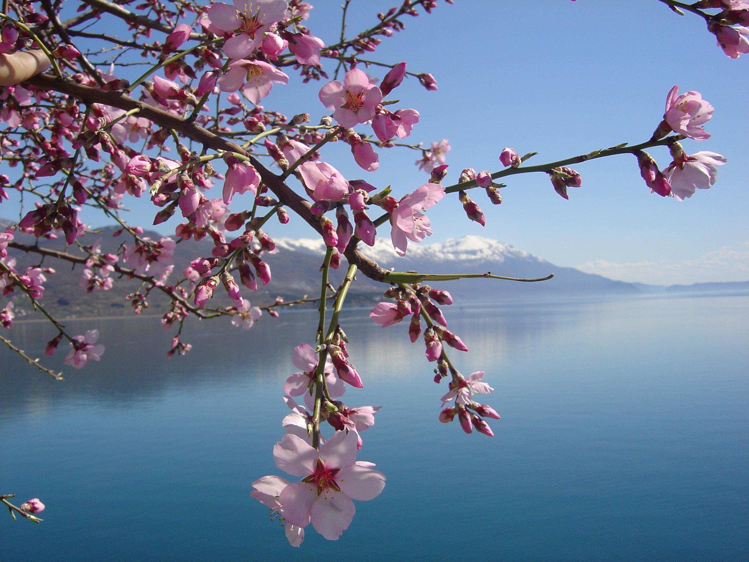 2592x1944 Ohrid by De$pot