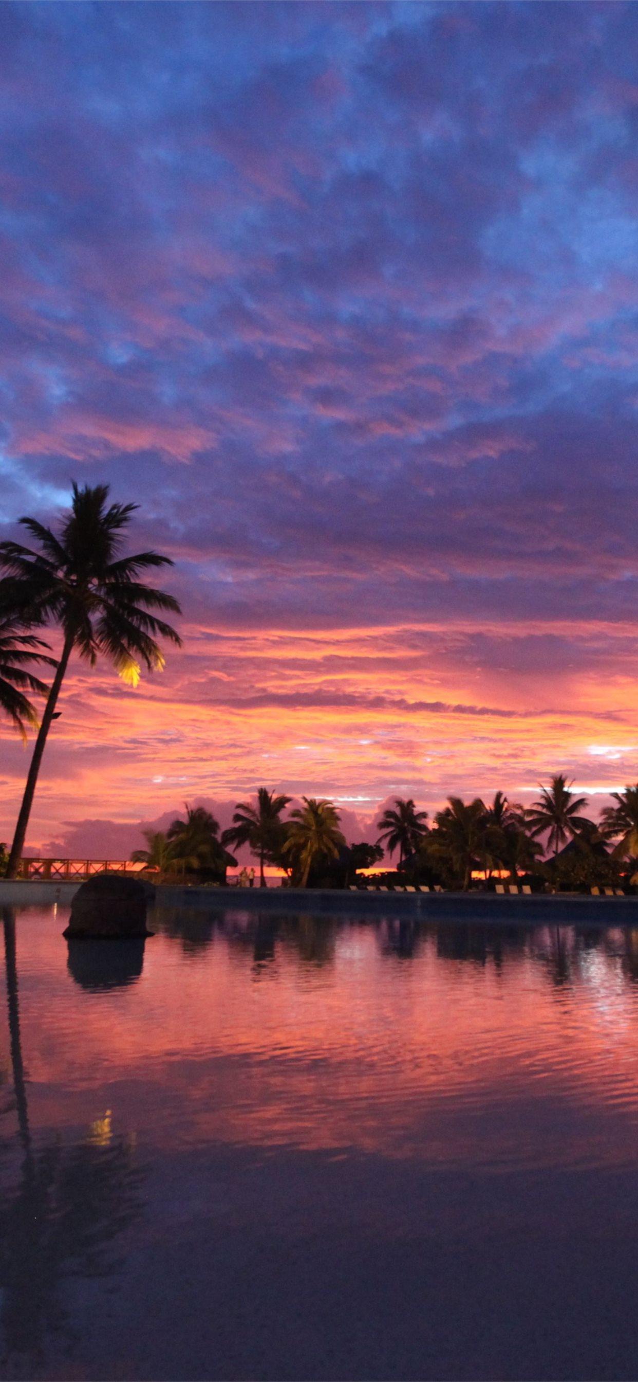 1242x2688 Bora Bora Sunset Top Free Bora Bora Sunset iPhone X Wallpaper Free Download