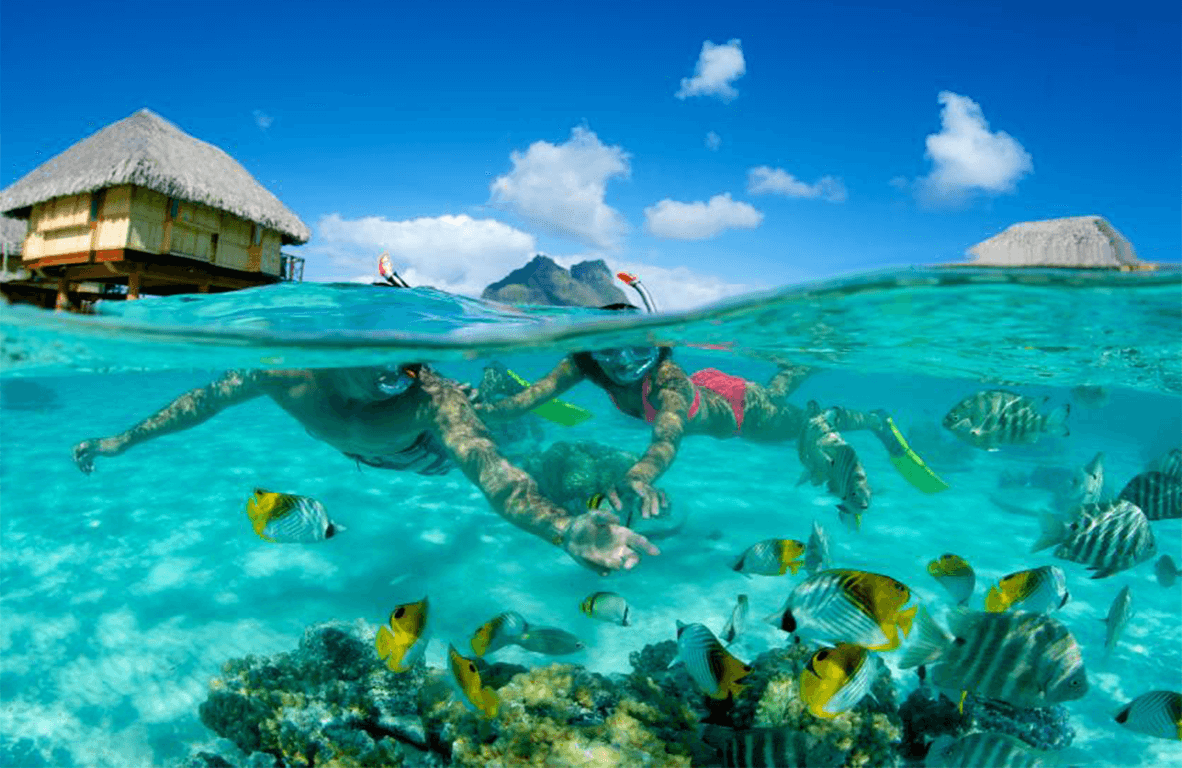 1182x768 Bora Bora Island. All HD Wallpaper Gallery