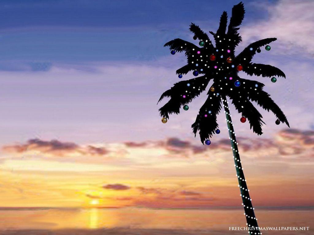 Christmas Tree Beach Wallpapers Top Free Christmas Tree Beach Backgrounds Wallpaperaccess