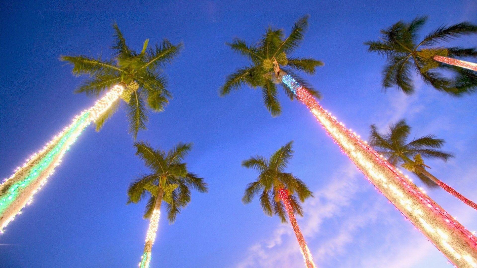 1920x1080 Christmas At The Beach Wallpaper (best Christmas At The Beach Wallpaper and image) on WallpaperChat
