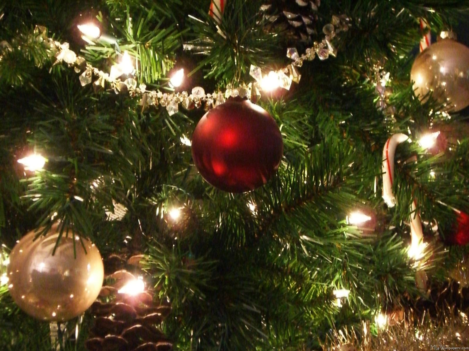 1600x1200 Christmas tree with red ornament
