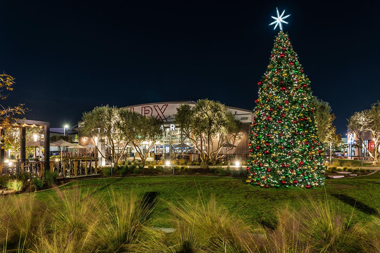1280x854 Picture California USA Christmas Long Beach Christmas tree Lawn