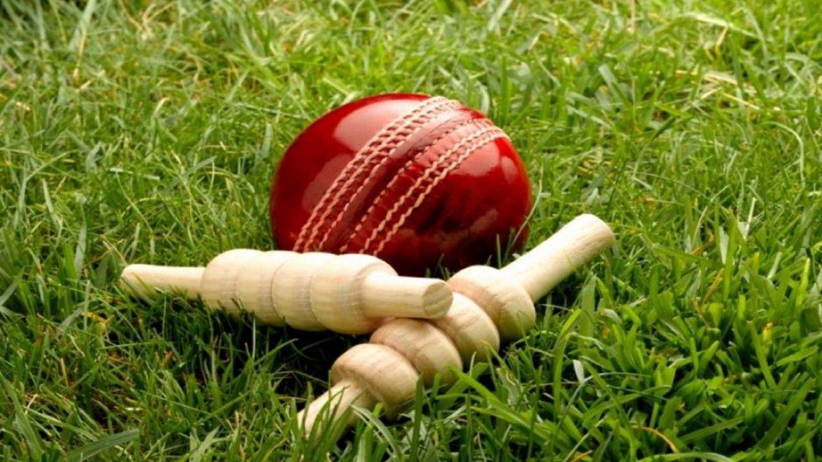 Cricket halmet and a ball on a green grass Helmet protects batsman from  fast balls which may otherwise cause harm to playing person Stock Photo   Alamy