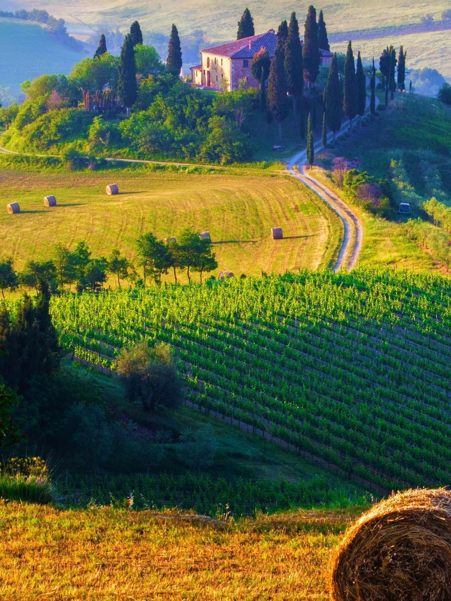 1536x2048 Free download Tuscany Italy Landscape iPhone Wallpaper iPhone Wallpaper in [1771x3150] for your Desktop, Mobile & Tablet. Explore Wallpaper Italy. Italy Wallpaper, Free Wallpaper Italy, Italy Desktop Wallpaper