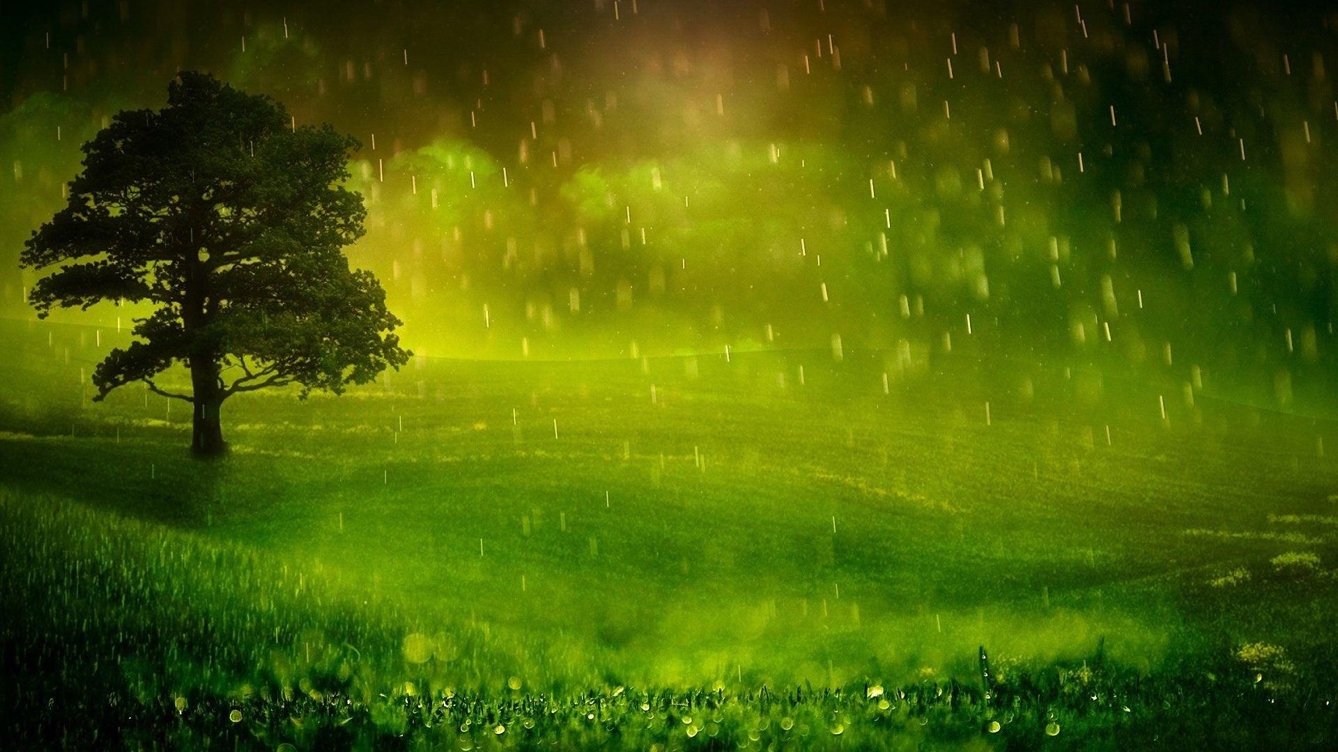 1920x1080 Beautiful Rain Wallpaperbeautiful Beautiful Rain Wallpaper 1920x1080