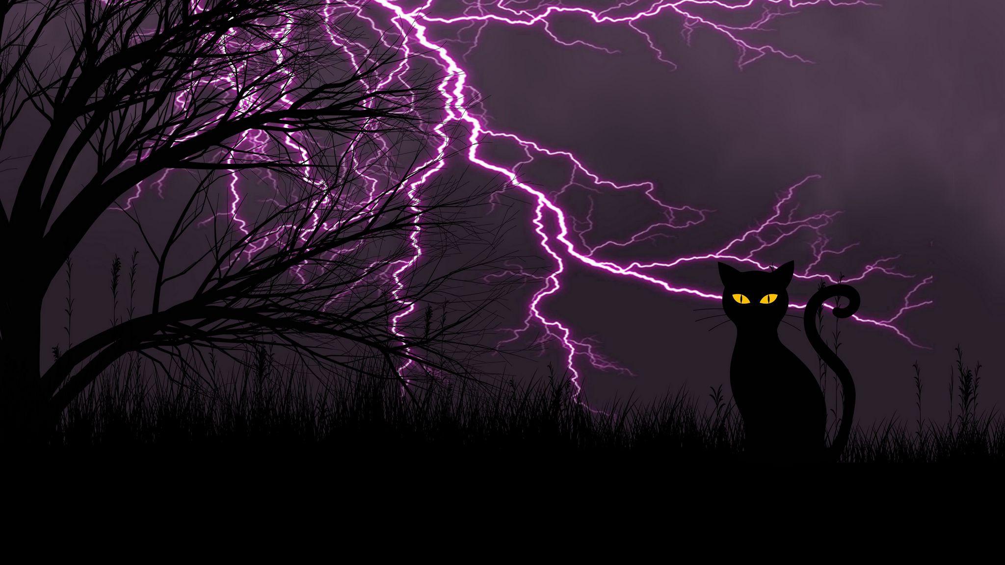 2048x1152 Download wallpaper 2048x1152 black cat, lightning, art, grass, night ultrawide monitor HD background