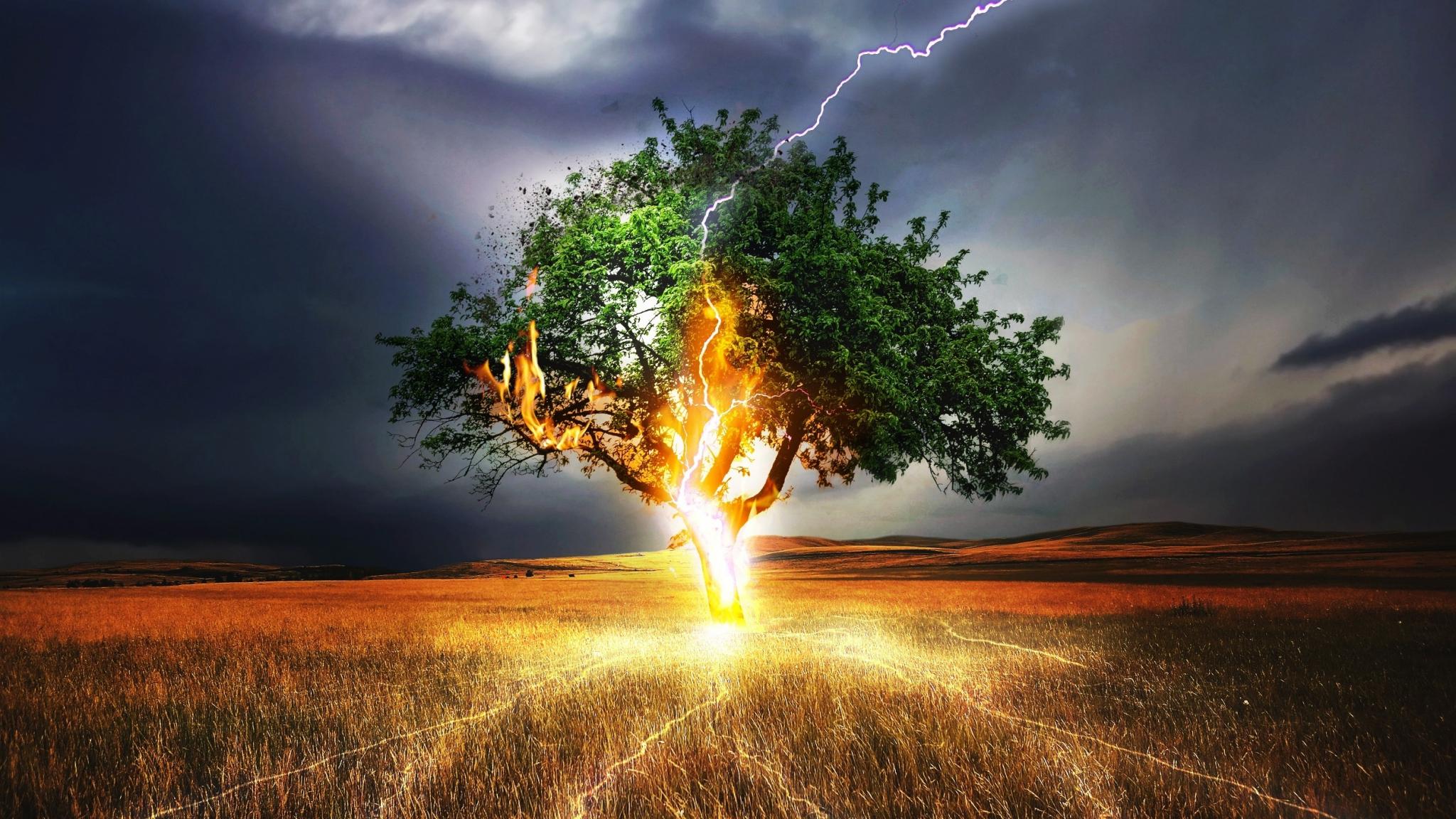 2048x1152 Download 2048x1152 wallpaper lightning, flash, tree, landscape, storm, dual wide, widescreen, 2048x1152 HD image, background, 9495