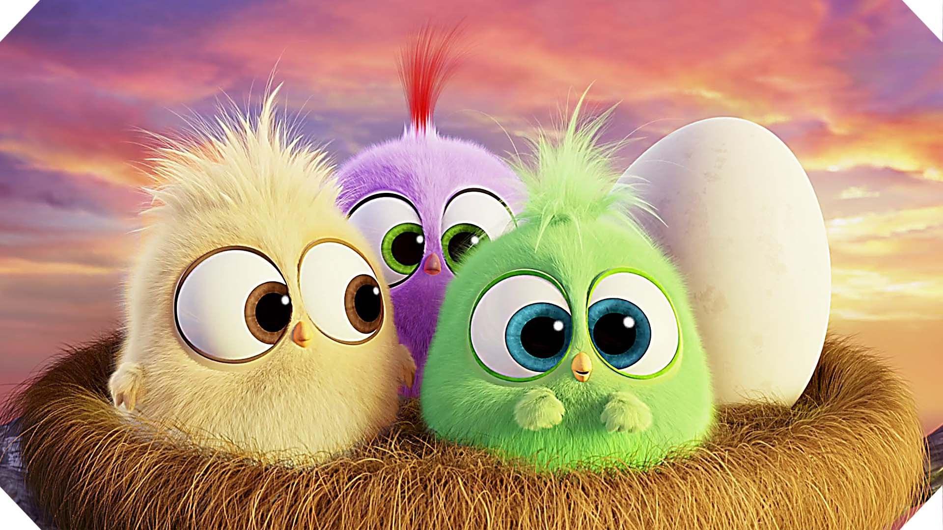 1920x1080 Cute Angry Bird Wallpaper HD