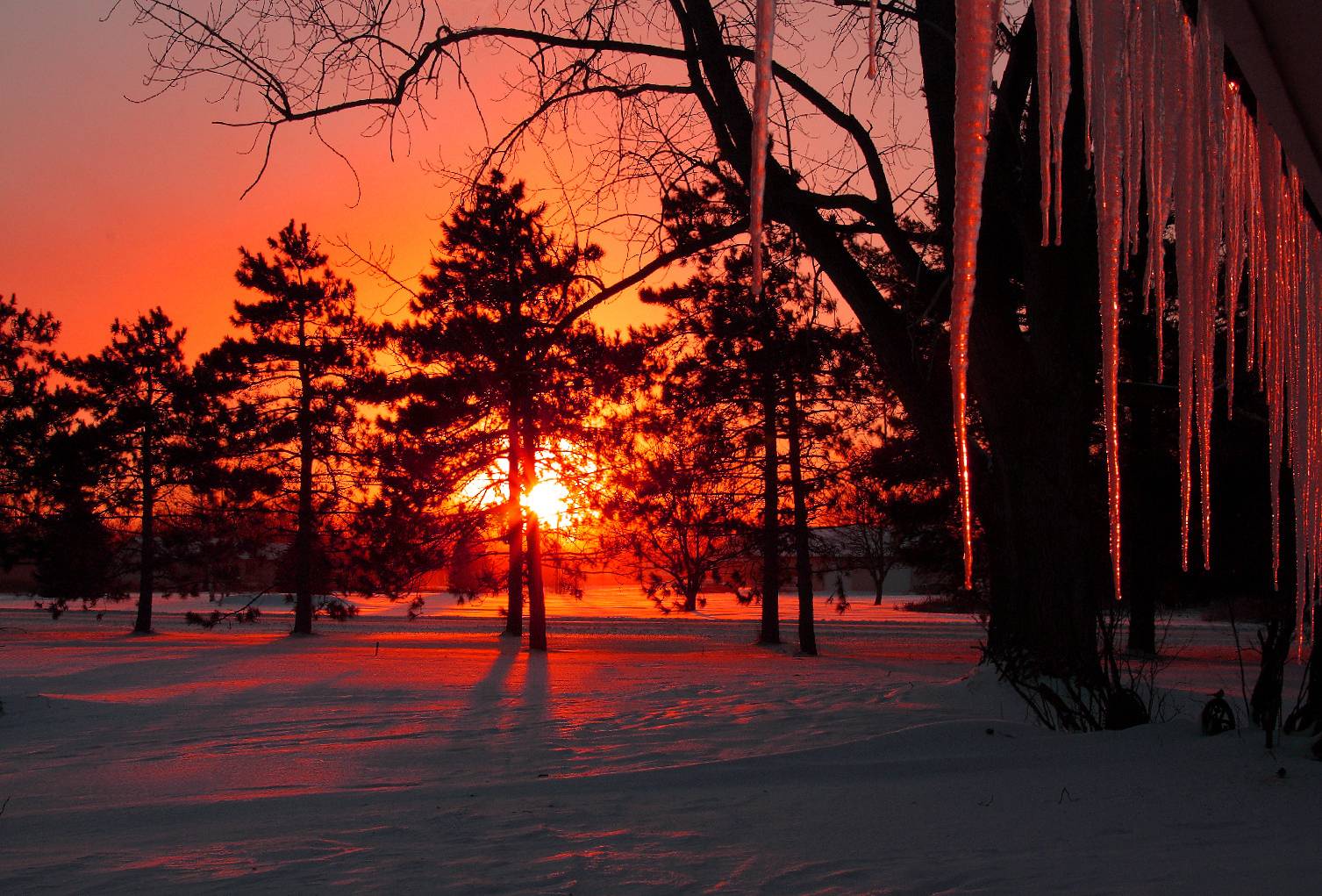 1507x1021 Winter Dusk Wallpaper