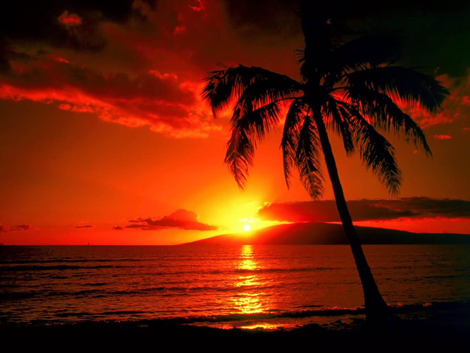 1600x1200 Sunset Desktop Wallpaper