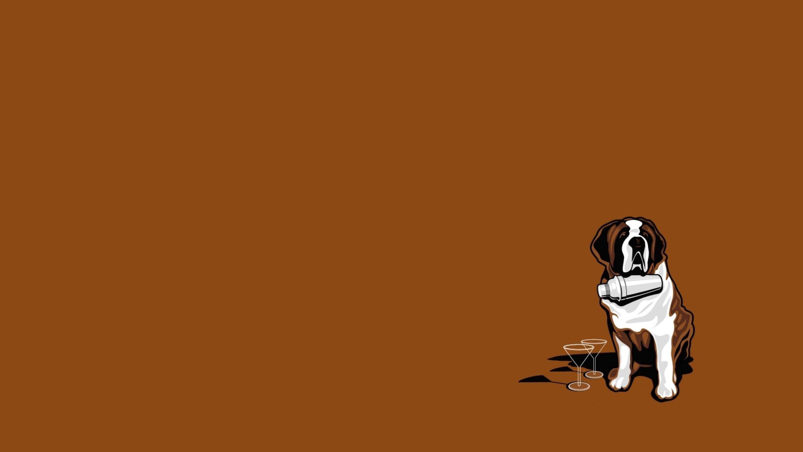 2560x1440 Download wallpaper 2560x1440 st bernard, lifeguard, dog widescreen 16:9 HD background