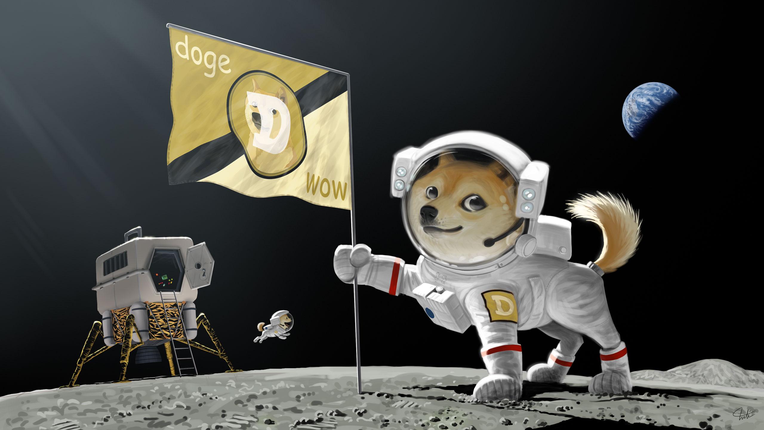 2560x1440 Free download Doge Dog Astronaut Meme Moon Landing Earth Planet Flag wallpaper [2560x1440] for your Desktop, Mobile & Tablet. Explore Doge Wallpaper. Cute Dog Wallpaper, Dog Wallpaper for Desktop