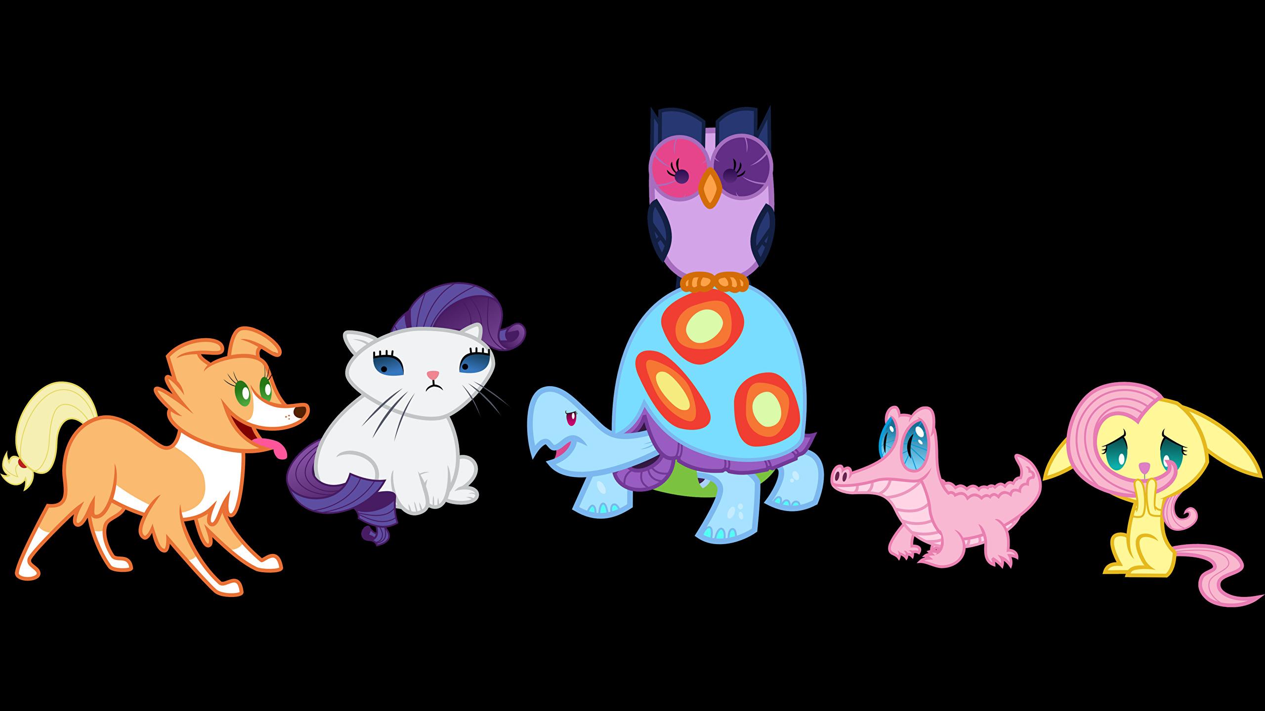 2560x1440 Picture My Little Pony cat Dogs Skulls Crocodiles 2560x1440