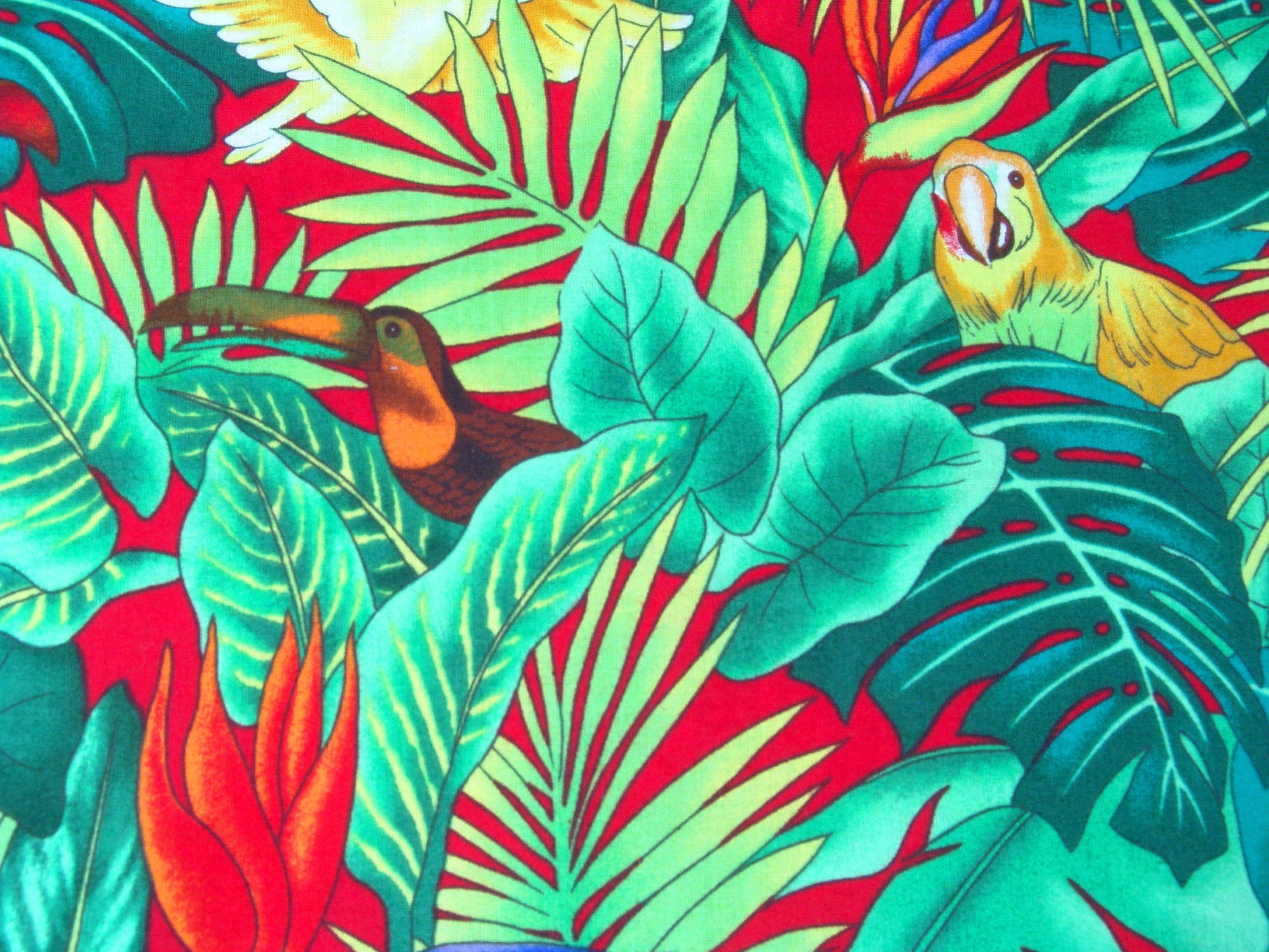3264x2448 image of Tropical Print Background - #SpaceHero