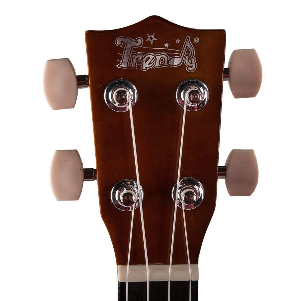 1001x1001 Trendy Traditional and Painted Economy Hawaiian Soprano