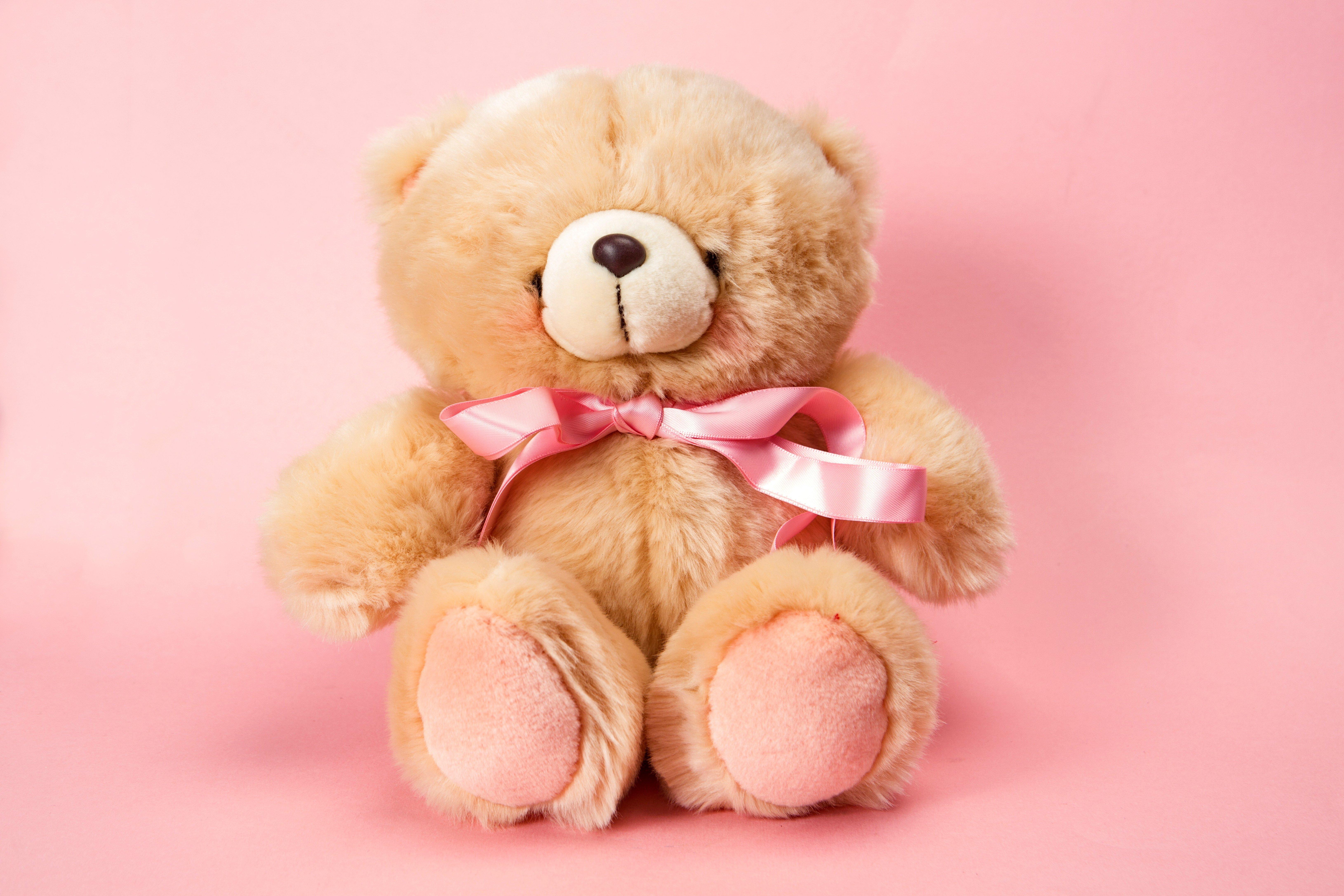 6518x4345 teddy, Bear, Pink, Cute, Toy Wallpaper HD / Desktop and Mobile Background