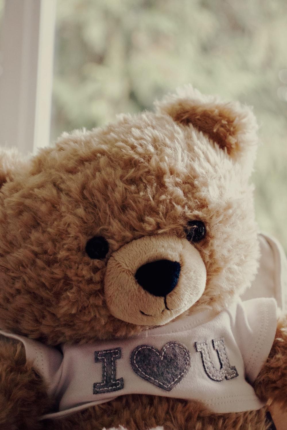 1000x1500 Cute Teddy Picture. Download Free Image