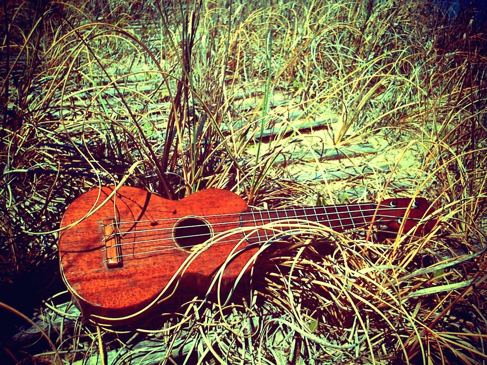 1600x1200 Ukulelear