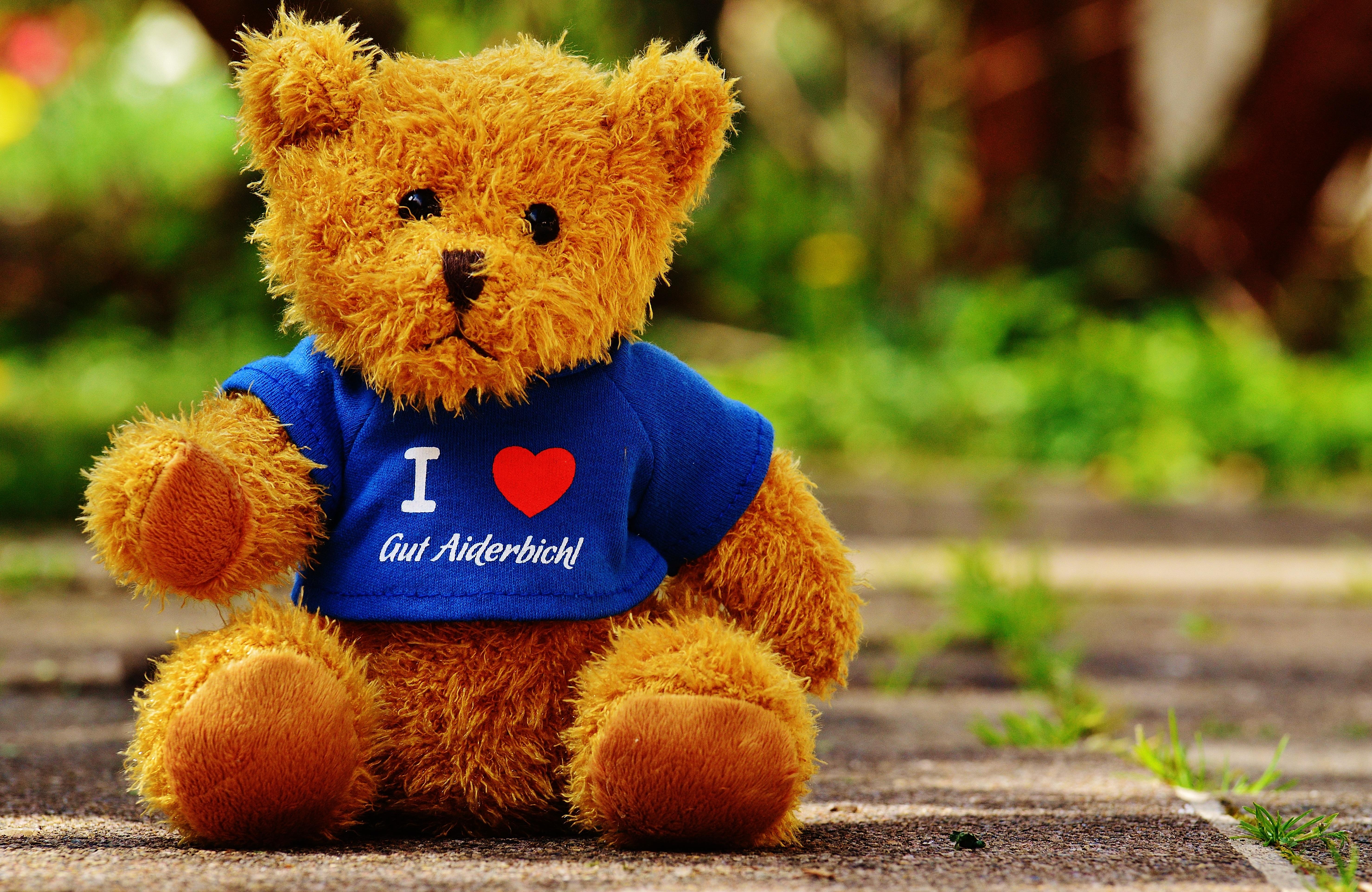 I m teddy bear. Тедди Беар. Тедди Беар оригинал. Плюшевый мишка. Медвежонок Тедди.