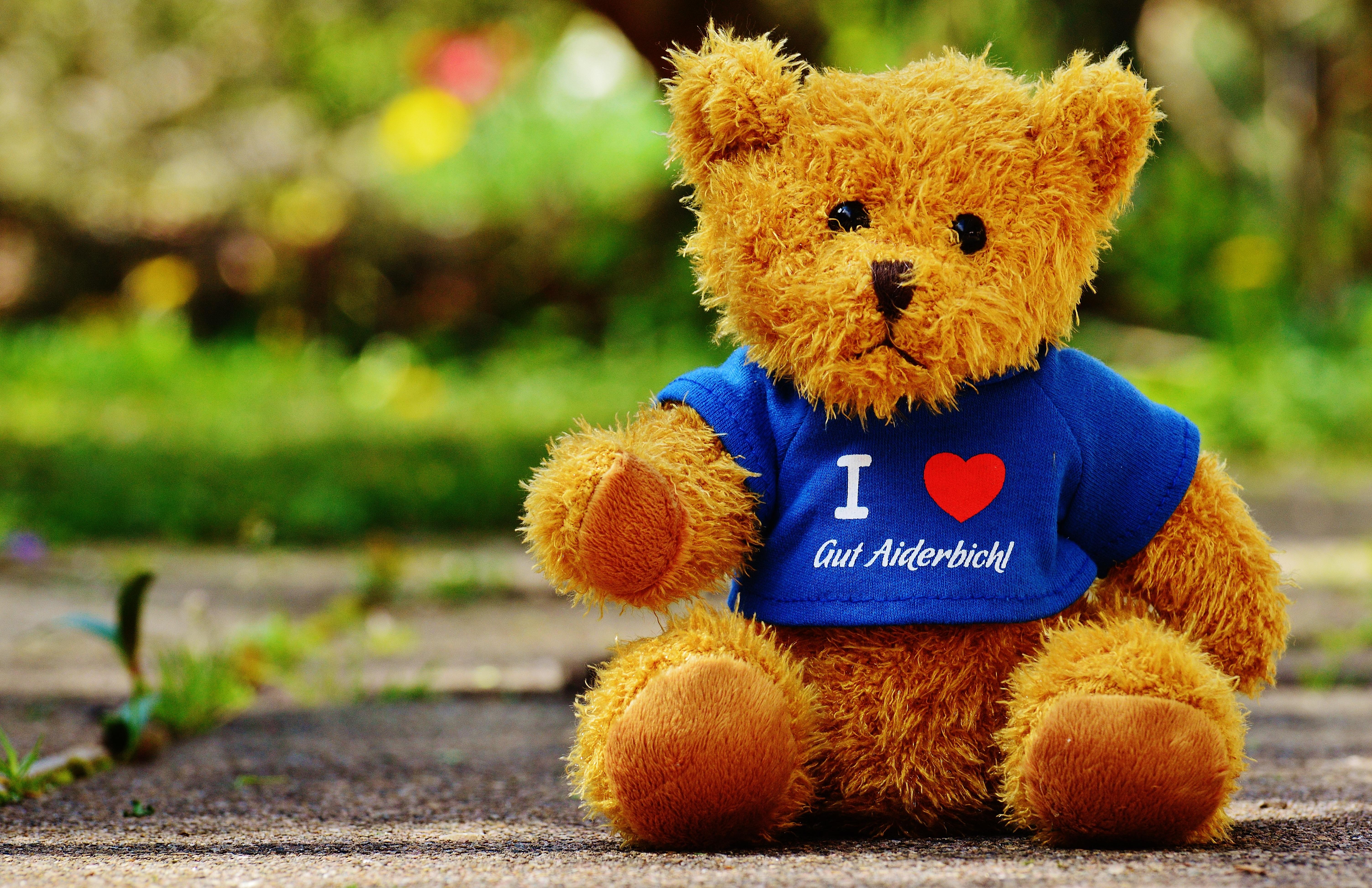 6016x3894 Free Image : sweet, cute, teddy bear, children, snout, animals, toys, funny, sanctuary, plush, stuffed animal, soft toy, t shirt, stuffed toy, good aiderbichl, computer wallpaper 6016x3894