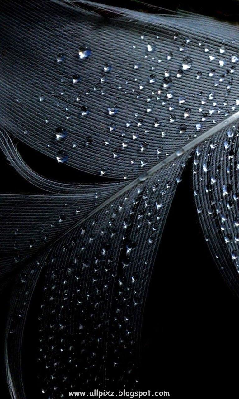 768x1280 Mi Mobile Wallpaper HD HD Wallpaper