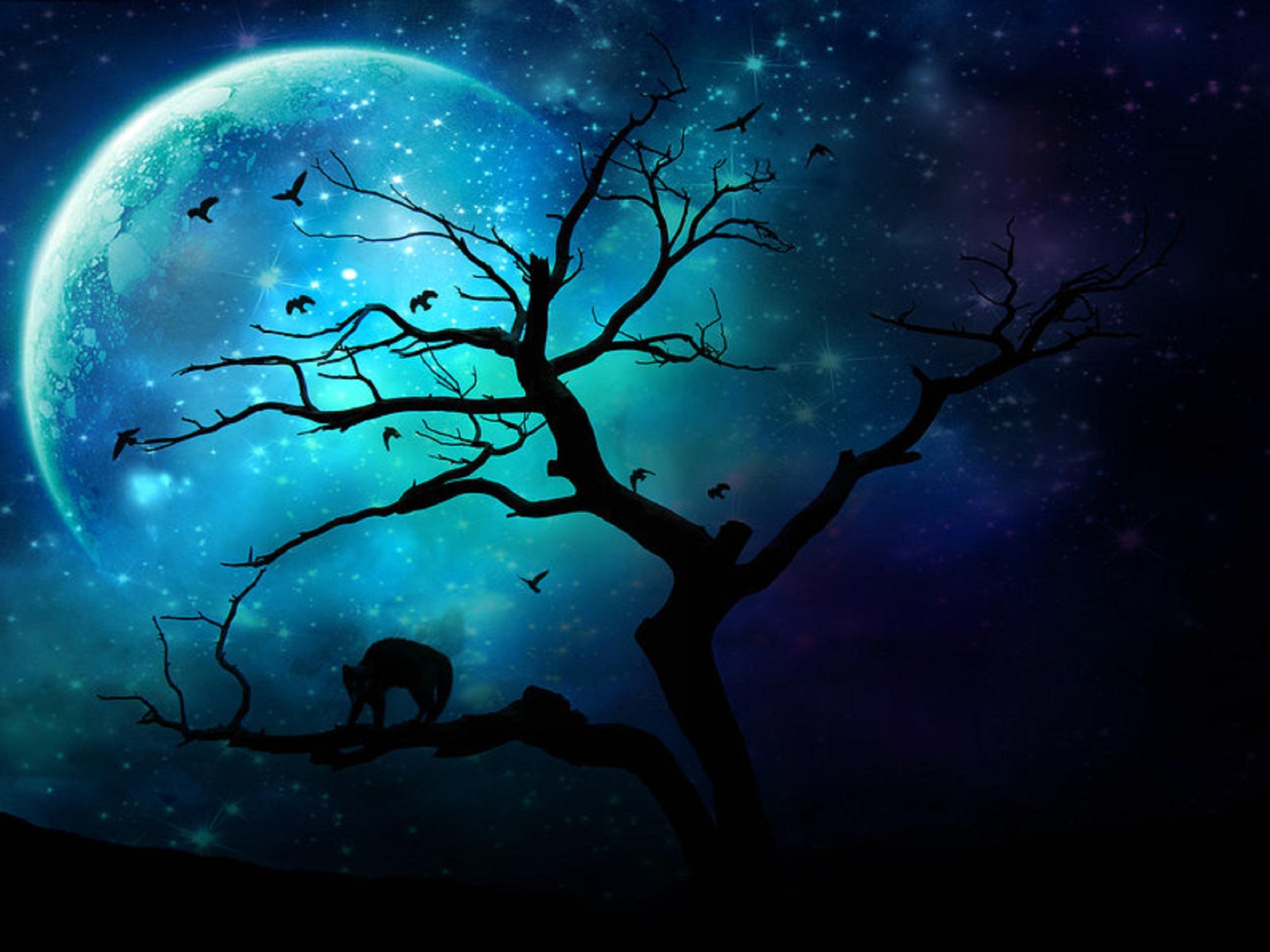 2560x1920 July 2015. Blue moon, Dark tree, Moon in aquarius