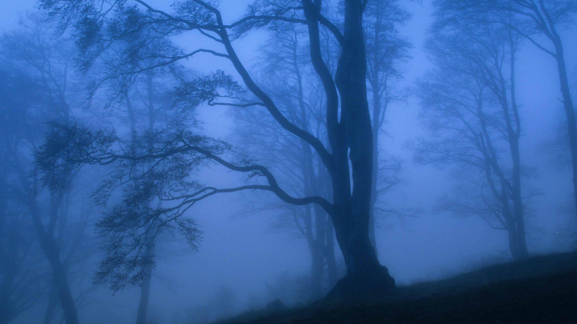 1920x1080 Free Mystical Wallpaper