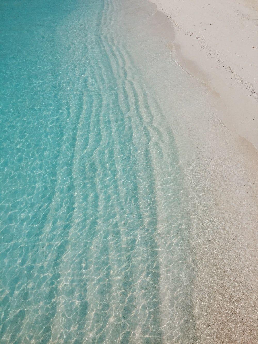 1000x1333 Tropical Picture. Download Free Image
