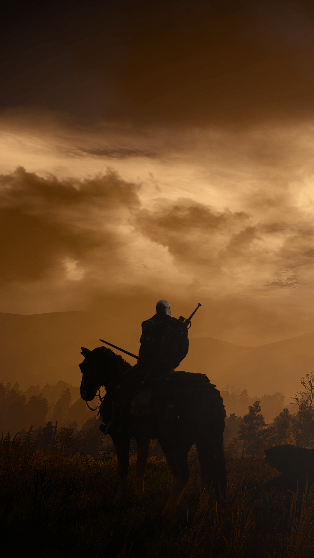 1080x1920 Video Game The Witcher 3: Wild Hunt