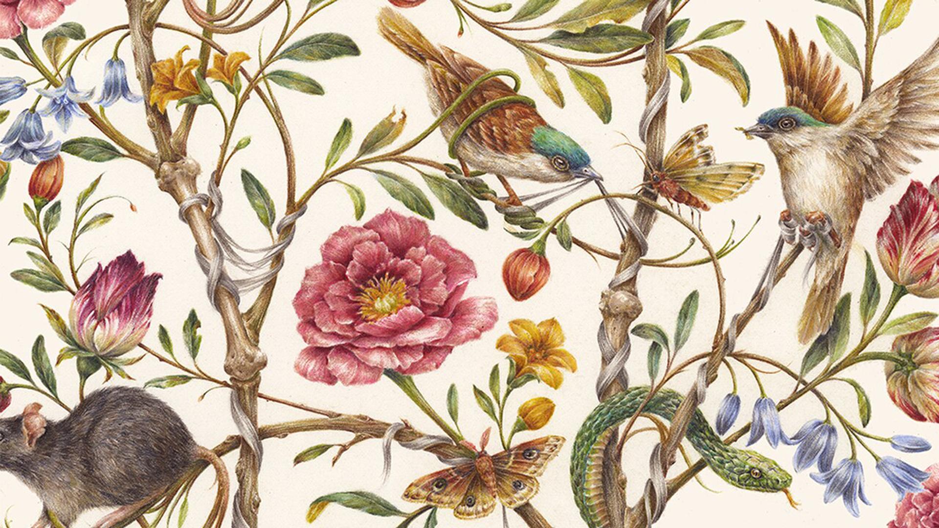 1920x1080 Birds Rat Snake Butterfly Flowers HD William Morris Wallpaper