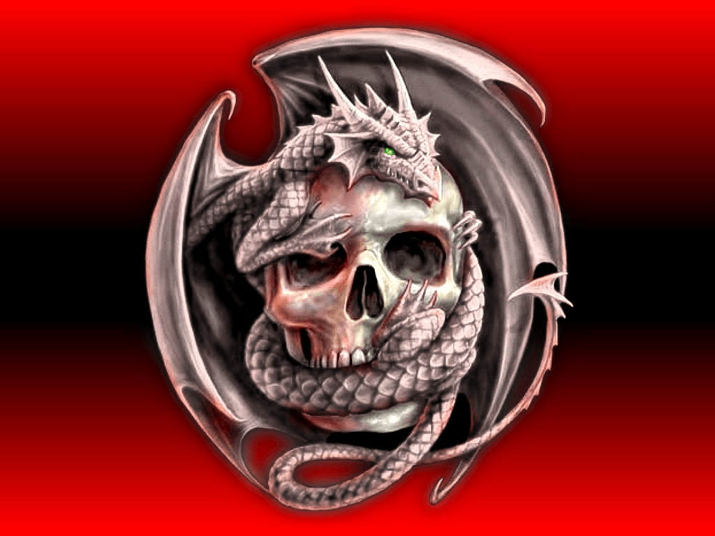 1024x768 Dragon And Skull Wallpaper