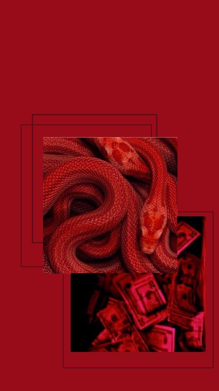 750x1334 Red Snake Aesthetics Wallpaper