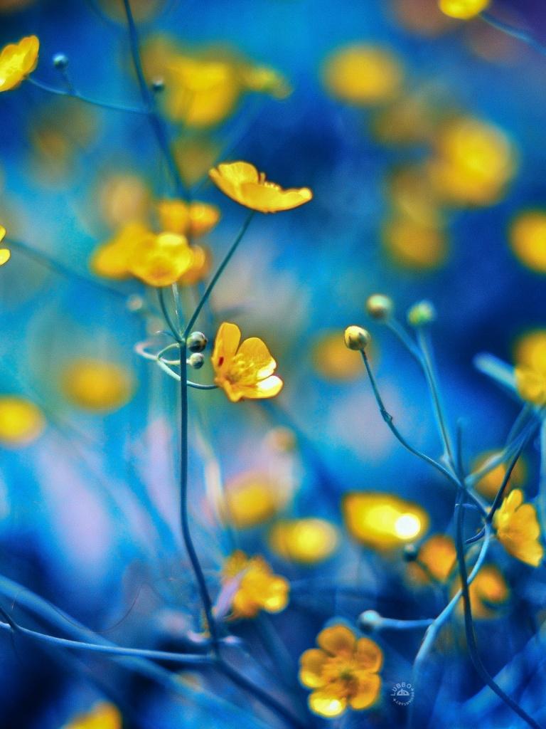 Spring iPad Wallpapers - Top Free Spring iPad Backgrounds - WallpaperAccess