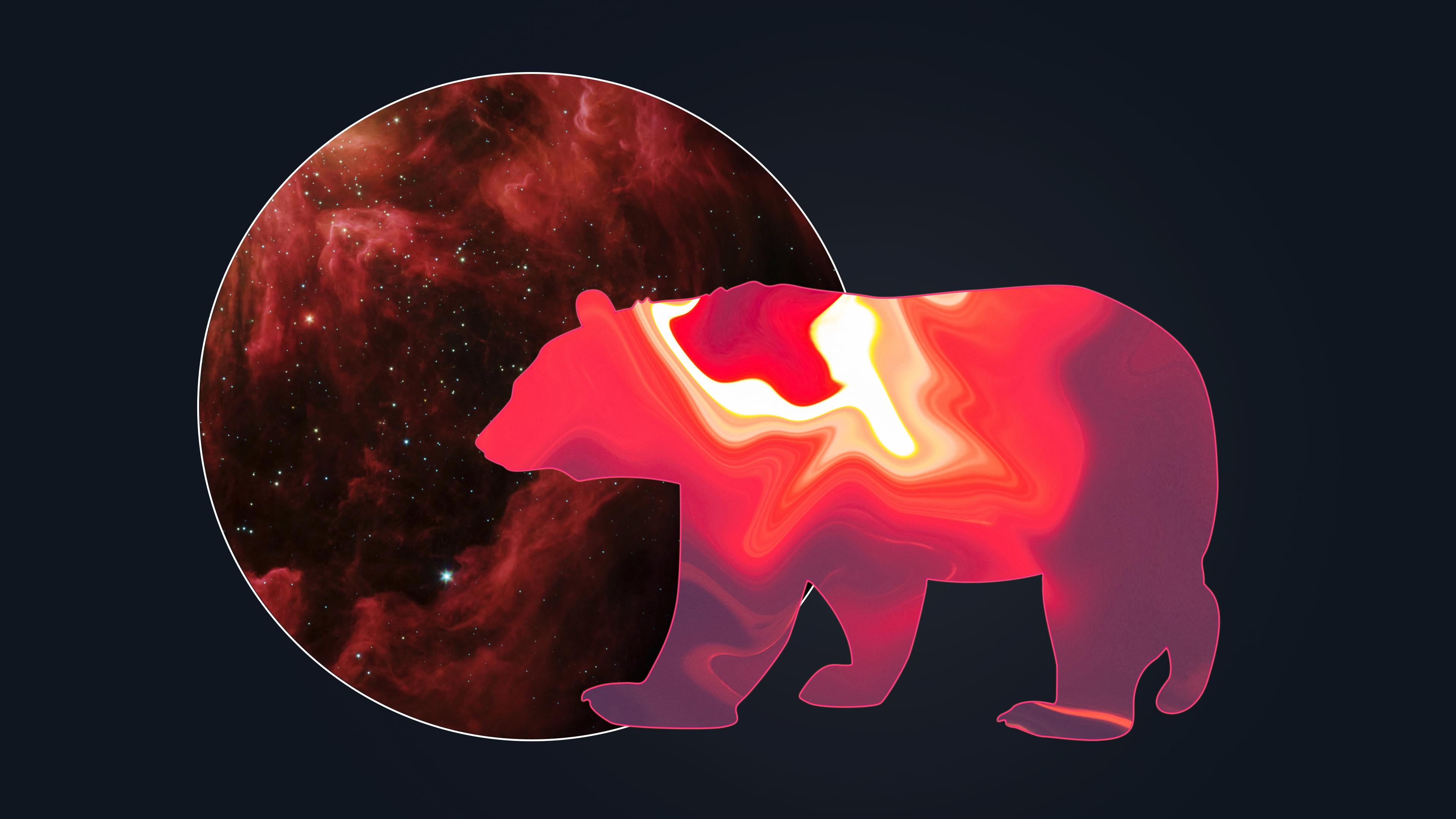 3840x2160 Wandering bear spirit into a galaxy. 4k Ultra HD Wallpaper