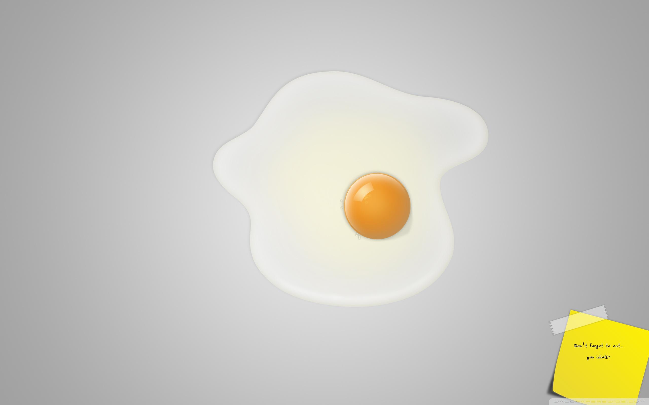 2560x1600 Fried Egg Ultra HD Desktop Background Wallpaper for