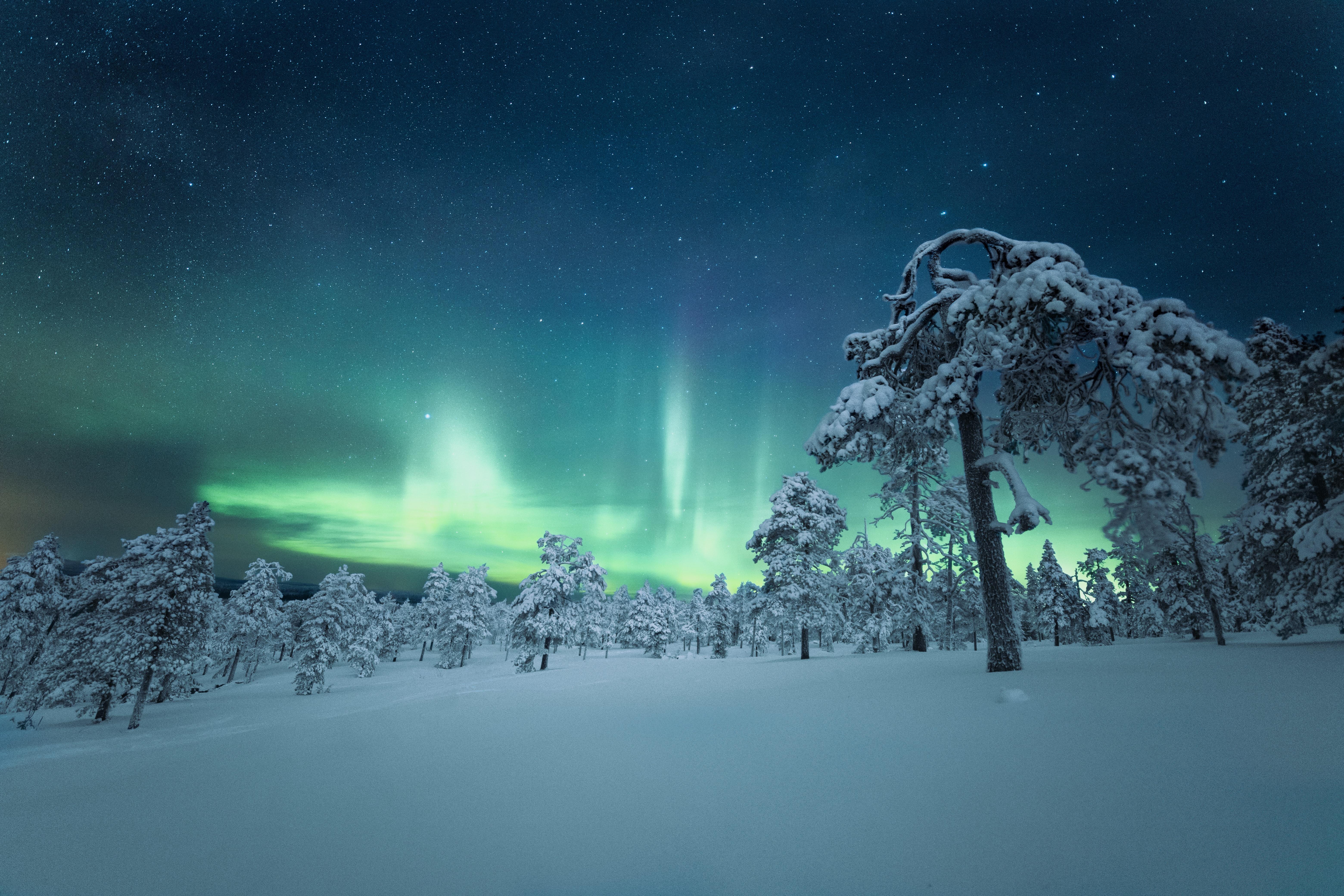 6240x4160 Finland Night Aurora Outdoor Nature 5k 1366x768 Resolution HD 4k Wallpaper, Image, Background, Photo and Picture