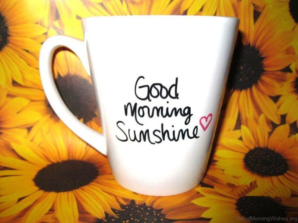 1024x768 Good Morning Sunshine Image