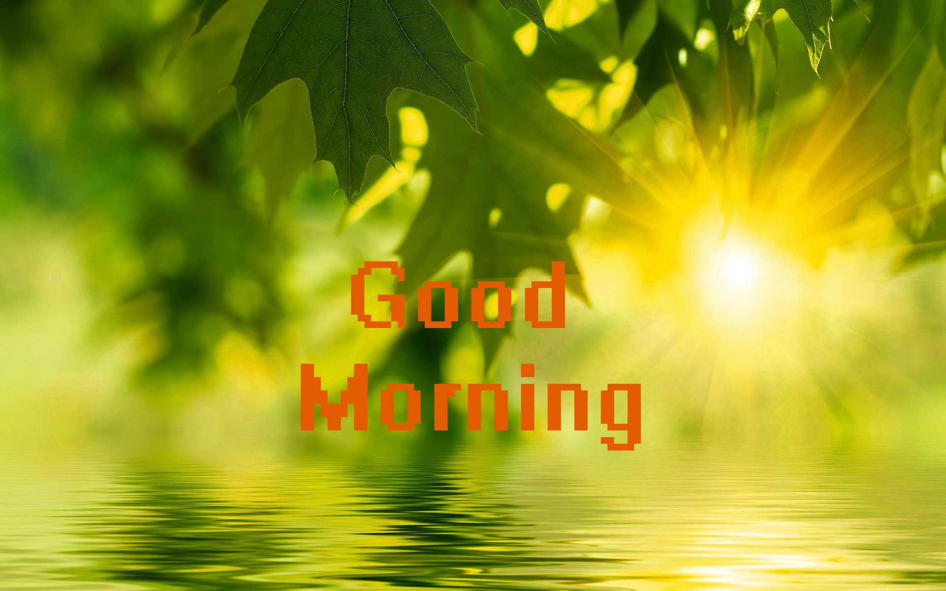 1920x1200 Nature Good Morning Image Sun