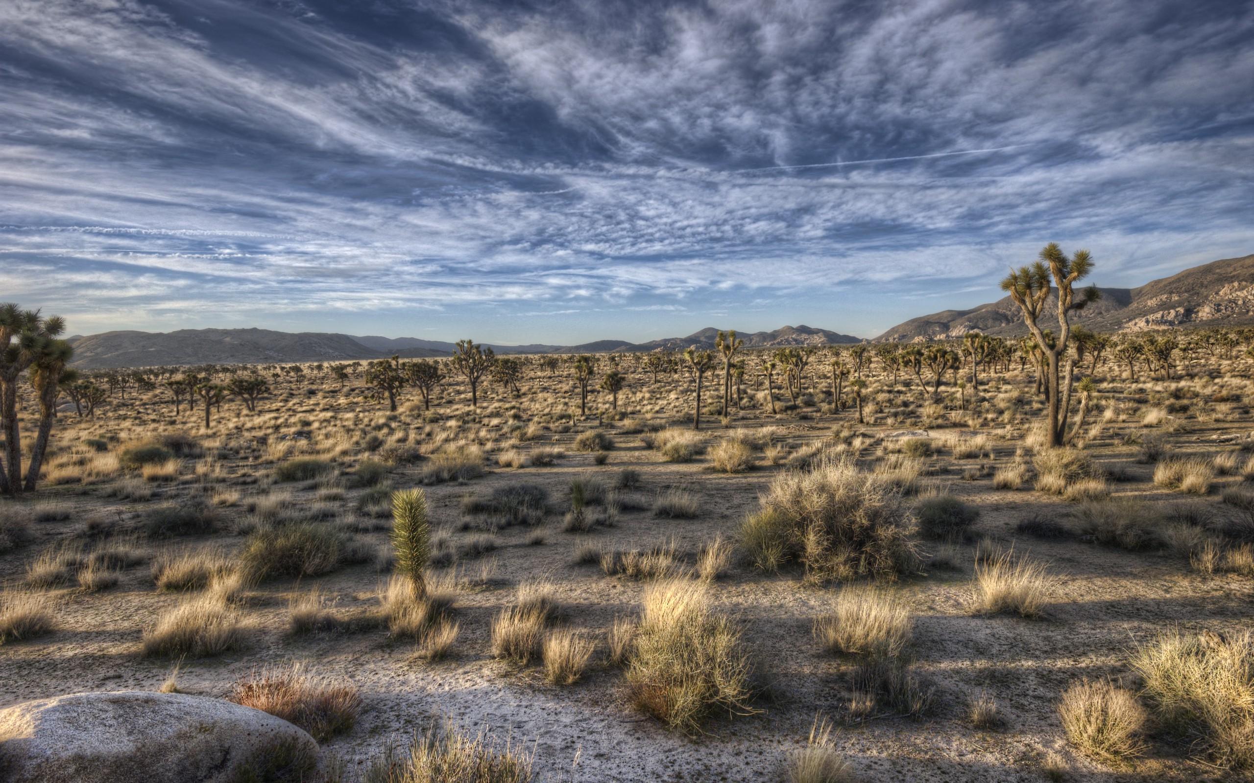 2560x1600 nature, Landscape, HDR, Sky Wallpaper HD / Desktop and Mobile Background