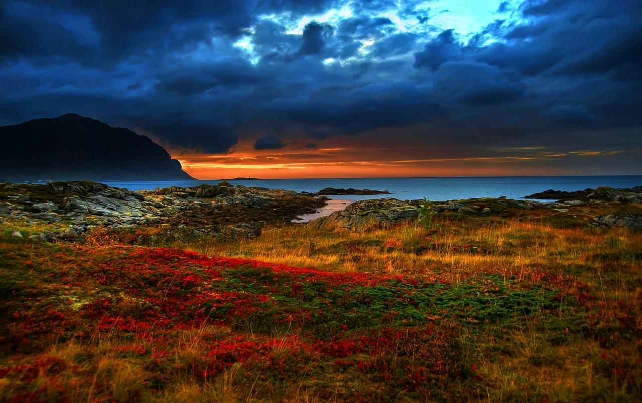 1280x804 Ocean Rocks Plants Grass Sky wallpaper. Ocean Rocks Plants Grass Sky