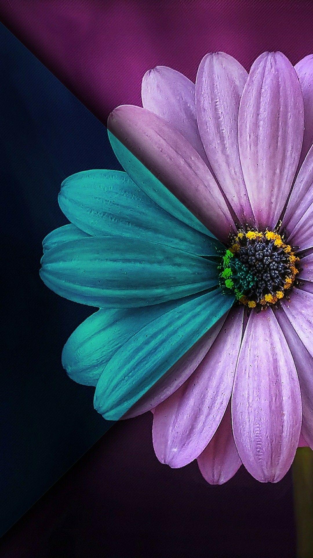 1080x1920 Flower Simple Wallpaper For iPhone