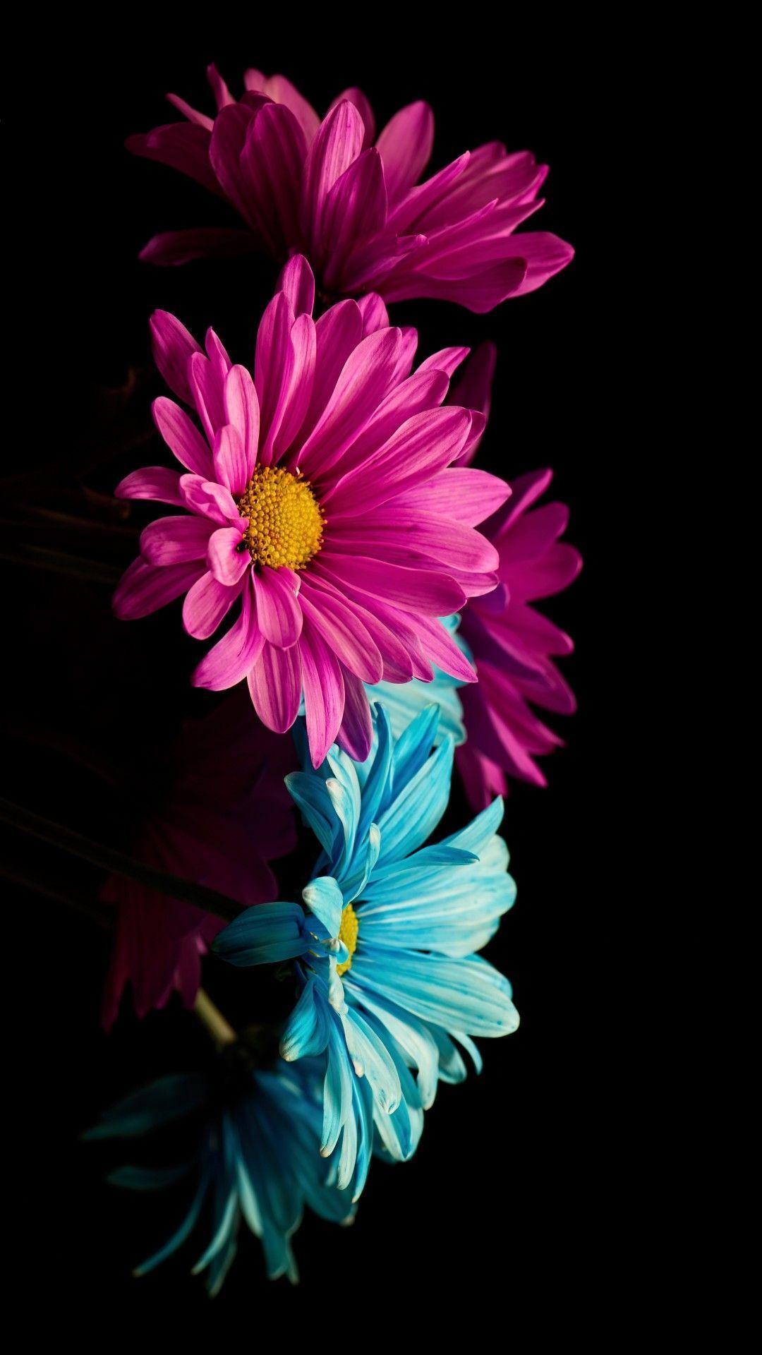 1080x1920 Wallpaper iPhone Purple Beautiful Flowers