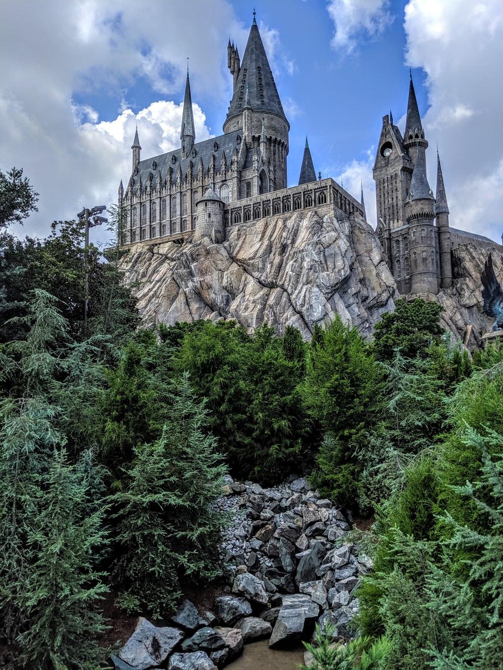 1000x1333 Harry Potter Picture. Download Free Image