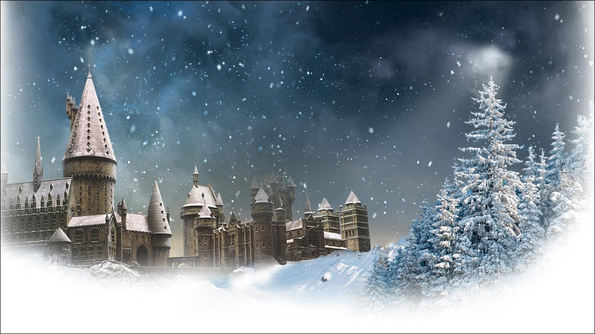 1920x1080 Aesthetic Harry Potter Laptop Wallpaper Gryffindor