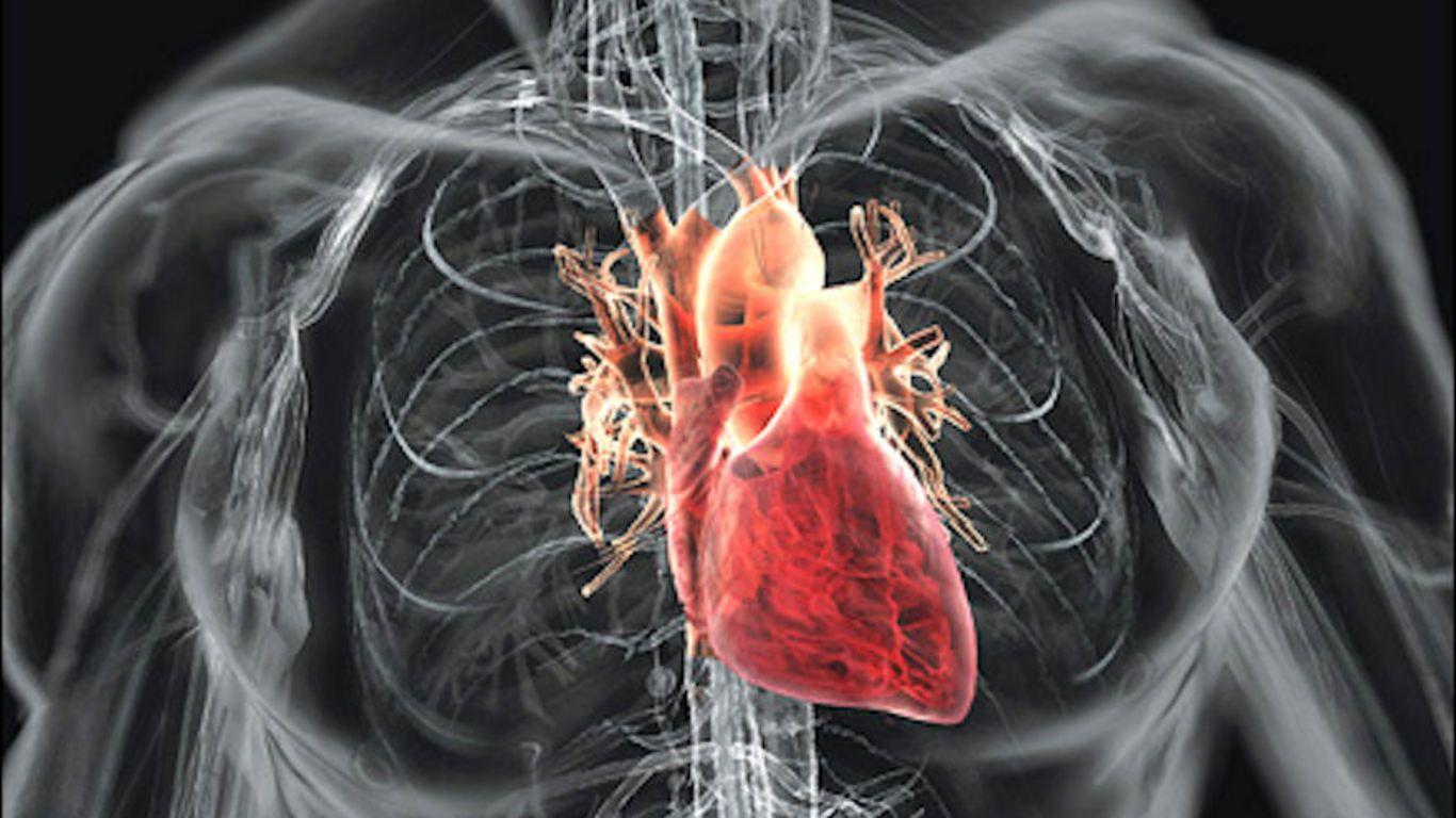 1366x768 iPhone Human Heart Wallpaper HD