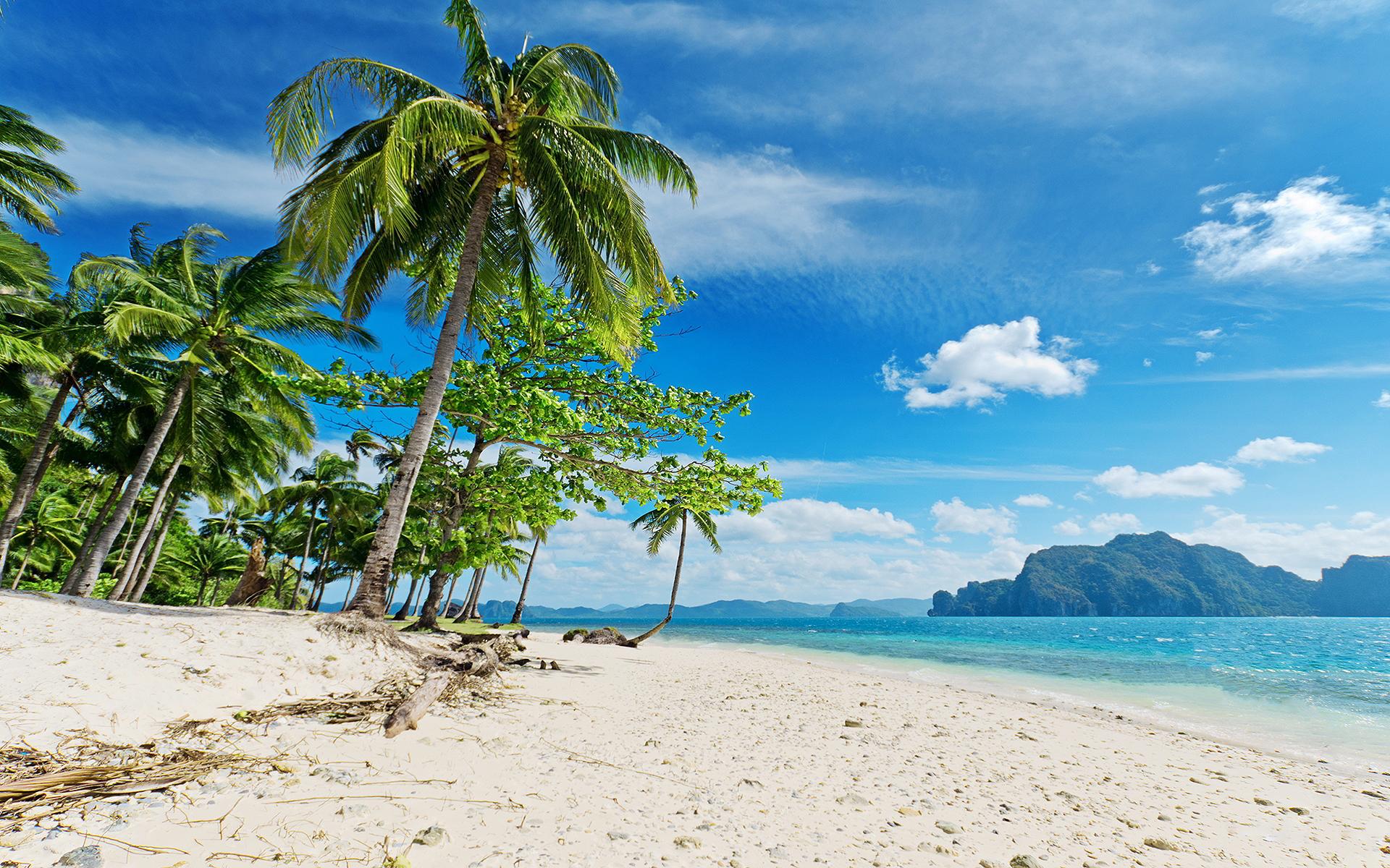 1920x1200 Sunny tropical beach palms
