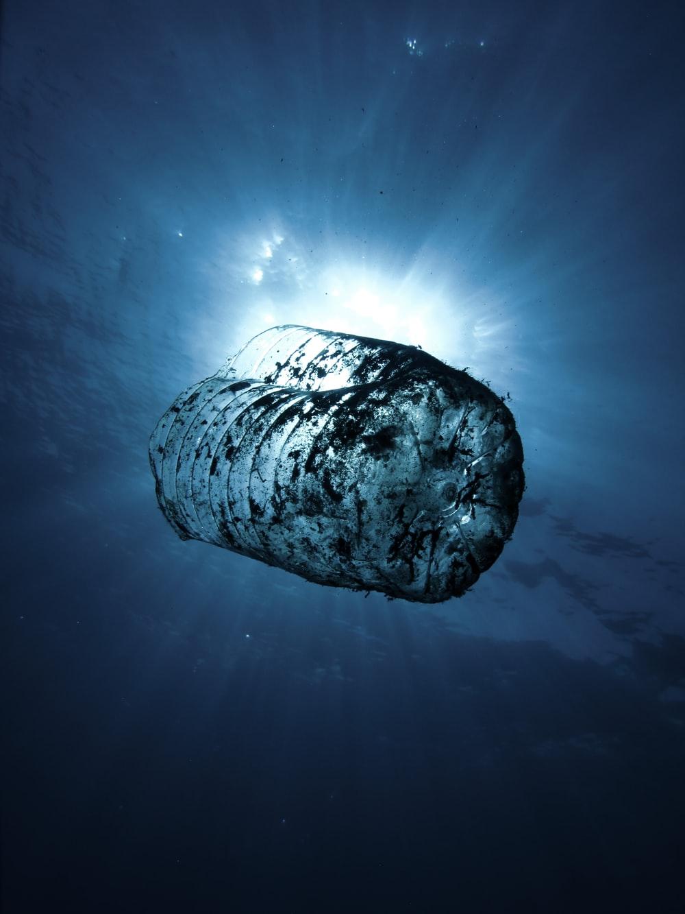 1000x1333 Plastic Pollution Picture [HD]. Download Free Image