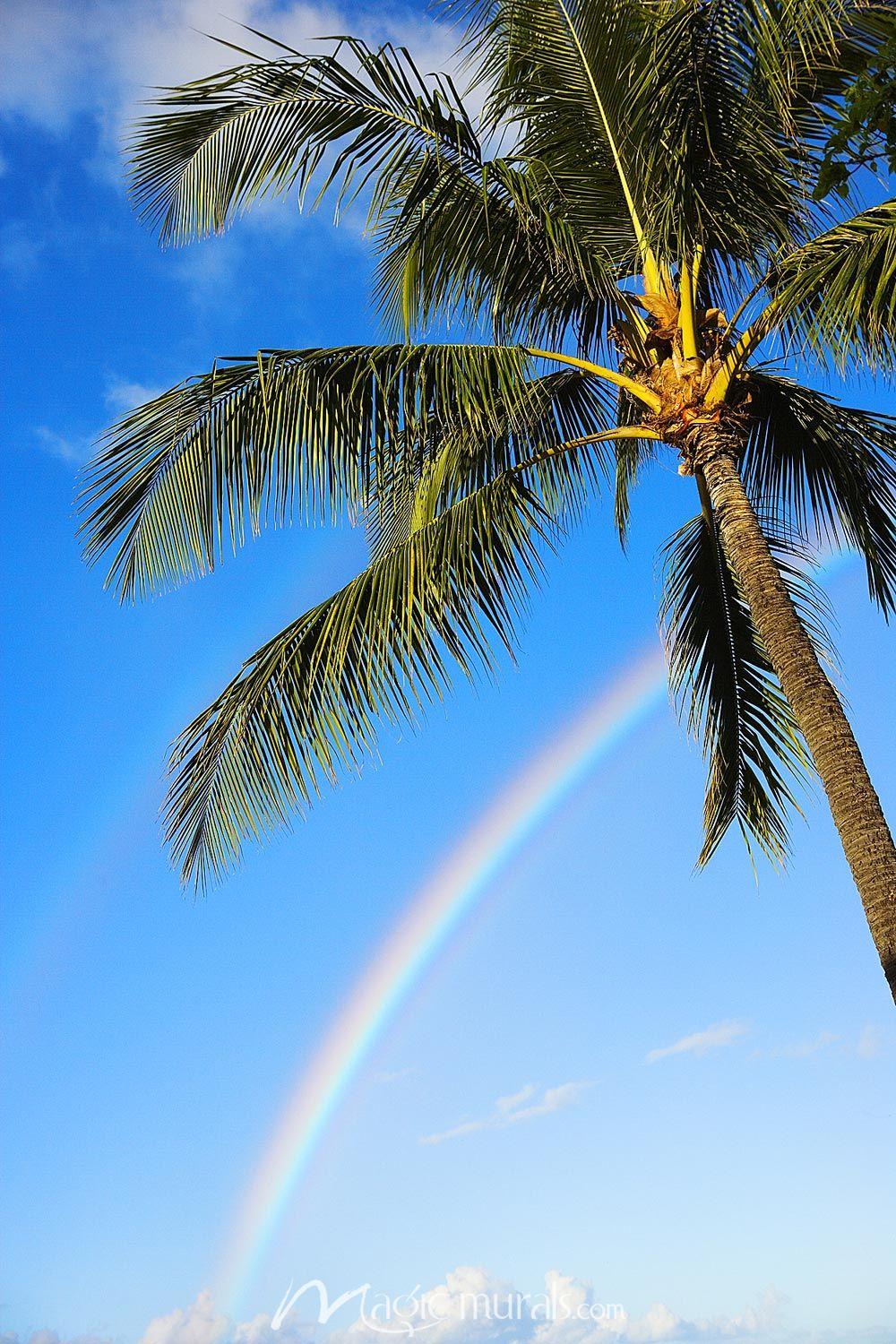 1000x1500 Ala Moana Beach Park Wallpaper Mural