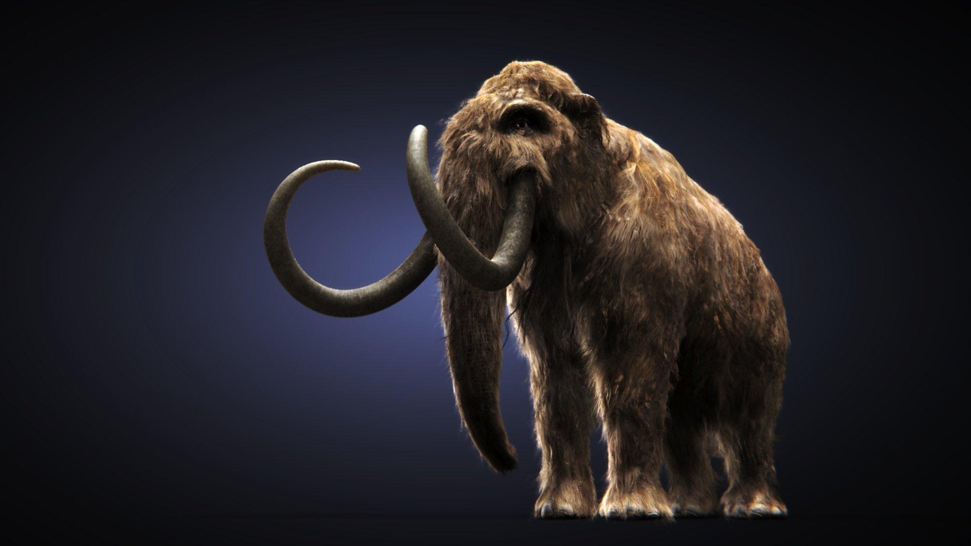 1920x1080 mammoth wallpaper HD Wallpaper